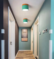 Lámpara De Techo Sólida De Madera Para Entrada Baño Cocina Sala De Estar Iluminación LED Superficie Montada Moderna - details 7