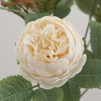 1 Pieza De Flores Artificiales Peonia De Seda Para Decoración Casa Boda Fiesta Faux Bouquet Arreglo De Plástico - details 10