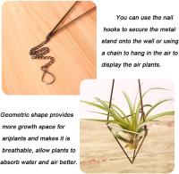 De 3 colgantes soporte de planta de aire para Tillandsia, soporte de plantas de aire, Himmeli para suspensión de Airplant Tillandsia, pantalla de maceta geométrica con, bronce - details 2