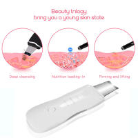 Limpieza Profunda Facial Con Scrubber Ultrasonido Dispositivo De Cuidado Personal Belleza Eliminador De Quistes Cutáneos USB Acrylic - details 2
