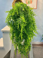 2pcs Hojas De Fernés Persa 90cm Plantas Artificiales Para Decoración De Habitaciones Casas Bodas Y Fiestas Colgantes En Paredes Balcones - details 3