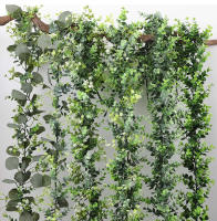 Guirnalda De Eucalipto Artificial Silver Dollar Decoración Verde Para Arco De Boda Y Exposiciones Vines De Rattan Uso Exterior - details 8