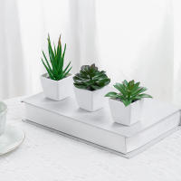 3 Macetas De Plantas Simuladas Pequeñas Para Decoración De Oficinas Salones De Estar Ventanas Jardines Y Courtyards - details 13