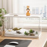 HUA PET Mini Acuario Transparente Resistente Al Desplome Para Plantas Hidroponicas Con Tapa Ecologico Para Escritorio Hogar Tanque Lento Para Tortugas - details 2