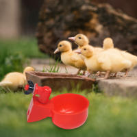6-36Pcs Copa De Bebida Automática Para Pollos Pato Plástico Fábrica De Pollo Instalación Fácil Dispensador De Alimentos Para Pájaros - details 3