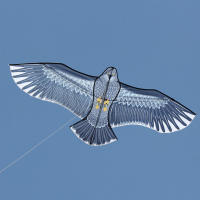 Nueva Llegada Pájaro Águila Deportes Al Aire Libre Kite De 59 Pulgadas Con Mango Y Hilo Para Niños Y Adultos Buena Para Volar - details 0