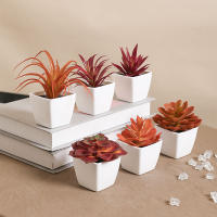 Juego De Macetas De Plástico Evergreen Para Decoración De Escritorio Y Oficina Estilo Suculentas Sin Mantenimiento Realista - details 8