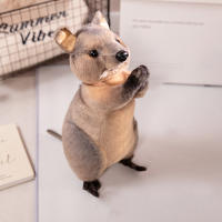 Muñeco De Peluche De Animales Bendecidos Roedor Pandilla Oso De Playa Canguro Colmillo De Mar Suerte Regalos Realistas Corto Cola Otter - details 9