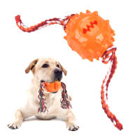Juguetes Para Masticar Para Perros Juguetes Interactivos De Limpieza De Dientes Anti Mordedura Con Bolas De Alimentos Que Se Escapan Productos Para Mascotas - details 17