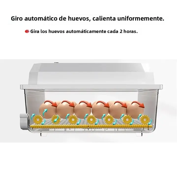 Incubador De Huevos Automático Para Pollos Pato Ganso Pichón Mini Brooder Doméstico 16 Huevos Herramienta Esencial Para Granjas Y Aves De Corral - 1