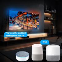 Tira De Luz LED RGB-IC Smart HDMI Para TV Immersion Compatible Con Alexa Y Google Assistant Decorativa Para Gaming Y Sin Químicos De Alta Preocupación - details 2