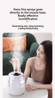 Humidificador USB De Gran Capacidad 4L Doble Nebulización Silencioso Con Luz De Noche 3 Modos Ideal Para Casa/office/dormitorio - details 4