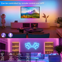 Luces De Neón RGB 5V Tira Flexible Impermeable De 1M 2M 3M 5M Con Control Remoto Bluetooth Para Decoración De Hogar - details 5