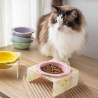 Tazón De Mascota Con Soporte De Acrílico Y Cerámica Floral Protección Del Cuello Para Gatos Y Perros Alimentación Alimentos Para Mascotas - details 3