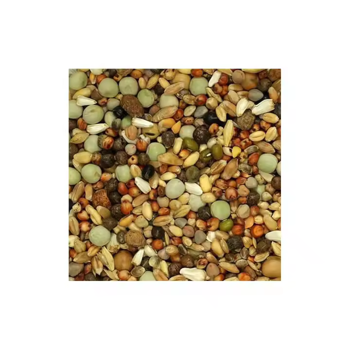 VINCI MIXTURA PALOMA S/MAIZ Pienso para Palomas libre de Maiz 25KG - 1