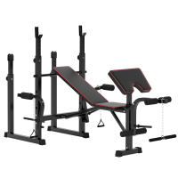 SPORTNOW Banco de Musculación Plegable Banco de Pesas con Soportes para Barra Regulables y Respaldo Ajustable para Entrenamiento Completos de Cuerpo en Casa Gimnasio Negro - details 0