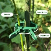 90 Piezas de Soporte de Jardín, Clips de Plantas, Clip de Soporte de Plantas with 30 Piezas de Bridas Ajustables para Plantas, asegurar Plantas Trepadoras (30 Grandes + 30 Bridas) - details 1