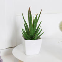 1SET De 6PC Mini Plantas Artificiales Bonsái Para Decoración De Hogar Oficina Restaurante Tienda Escritorio Estante - details 3