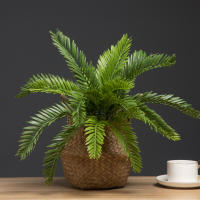 Árbol De Palma Artificial 45cm Con 18 Hojas Hojas De Monstera Tropicales Falsas Plantas Sago Cycas Para Decoración De Jardín Interior Y Exterior - details 0