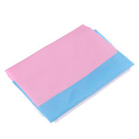 Bandera De Orgullo LGBT Transgénero 90x150cm Decorativa De Dual Penetration Hecha De Poliéster Estilo Colgante Para Adornos - details 2