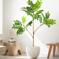 Falsa Hoja De Magnolia Y Ficus 105cm Para Decoración De Jardín Patio Interior Oficina Hoja De Figura Artificial De 41.3 Pulgadas - details 21