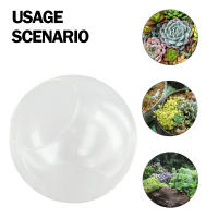 Micro Paisaje Vaso De Vidrio Transparente Para Plantas Succulentas Terrario Colgante Contenedor Hidroponía Maceta De Flores Decoración Para El Hogar Estilo Moderno - details 33