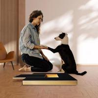 Tablero De Madera Para Perros Y Gatos Con Papel De Hierro Para Cuidado De Uñas Pull-out Scratcher Para Mascotas Tamaño 36x5x25cm - details 1