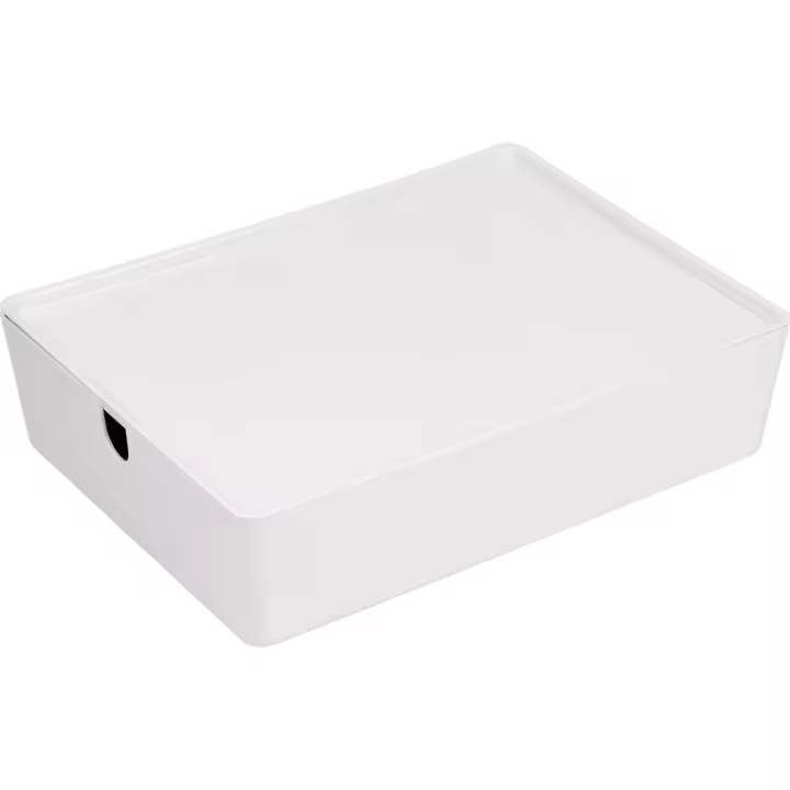 Confortime - Caja de Ordenación Multiusos con Tapa 35x26x8.5cm - Duradera y Resistente con Compartimentos Modulares - 1