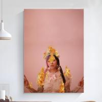 Póster Autocolante De Calidad HD De Melanie Martinez Artista Musical Decoración De Pared Para Estudio Y Oficina Sin Marco - details 17