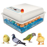 Incubador De Huevos De 20 Unidades Automático Para Ponedero Doméstico Apto Para Pollos Gansos Pato Y Otros Pájaros Material Plástico - details 1