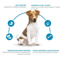 Advance Adult Mini, 700gr, 1,5kg, 3kg, 7kg, Comida para Perros Pequeño, Pollo y Arroz - details 1