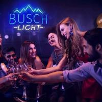 1pc Luz De Neón Letras De Busch Light Luz De Montaña De Hielo Para Decoración De Pared Luz LED Para Dormitorio Cueva De Hombre - details 2