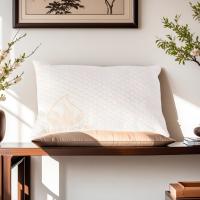 ARISE SHOP-Almohada Viscoelástica Aloe Vera Viaje 30x50cm - details 0