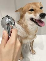 Cabezal De Ducha Para Mascotas Suave Y Eficiente Para Perros Gatos Y Puppies Sprinkler De Baño Doméstico Con Material De Plástico - details 1