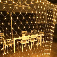 Luz De Encaje LED Para Cortina 3x2m 200led EU 220V Decoración De Jardín Exterior Navidad Boda Fiesta Accesorio De Hogar - details 2