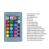 Lámpara Submersible LED RGB 10W Con Control Remoto IP65 Impermeable Para Piscina Acuario Estanque Fuente De Escorrentía Festivales - details 6