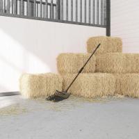 vidaXL Cabezal de horquilla de rastrillo con 14 púas de acero negro - details 2