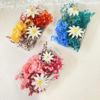 Paquete De Materiales Para Manualidades Con Flores Secas DIY Artesanía Artificial Para Decoración De Bodas Y Fiestas Cursos De Arte Flor Eterna - details 1