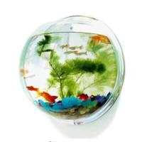 Acuario De Acrílico Para Pared Tanque De Pez Betta Y Exhibición Productos Para Mascotas Aquaticas Montaje En Pared - details 6