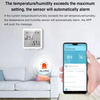 Higrómetro Termómetro WiFi Inalámbrico Sensor De Humedad Con Alarma Por App Para Interior Y Exterior Compatible Con Alexa Y Google Assistant - details 2