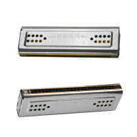 Harmonica De Ambas Cara 24 Huecos C Y G Dobles Tonos Organ De Bocina Instrumento De Viento De Madera Para Música - details 1