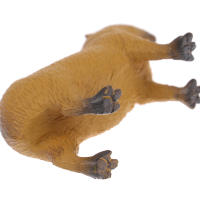 Nueva Miniatura Simulación De Animales Silvestres Adorables Figura De Acción Capybara Juguete De Colección Para Niños Regalo - details 4