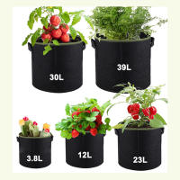 Macetas De Tela Para Plantas Respirables De 3/5/7/10 Gallones Bolsas De Cultivo Para Tomates Fresas Patatas Jardinería - details 4