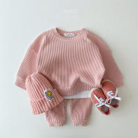 Conjunto De Ropa Para Bebé Niño Corea 2023 Conjunto De Dos Piezas Algodón Waffle Camiseta Sudadera + Pantalones Ajuste True Size - details 5