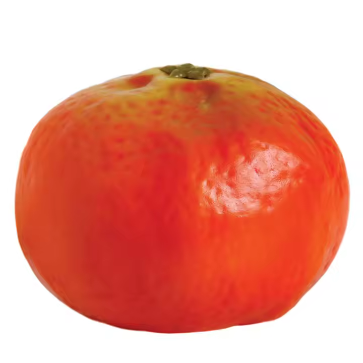 MANDARINA LISA - 1