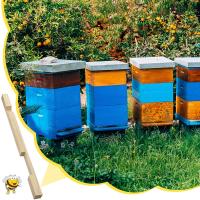 Reductor de Entrada de Panal de Madera 4PCS Durable para Guardar Panales Robadores de Miel Regalo para Principiantes en Jardín Backyard - details 5
