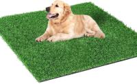 Pataca De Grama Artificial Para Perros Grande Tapete De Inodoros Portátil Para Entrenamiento De Mascotas Material Fibra Lavable Al Agua Ideal Para Exteriores - details 33
