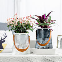 Macetas De Hidroponía Con Manija De Gran Capacidad Para Amantes Del Jardín Regalo Para Enthusiast De Las Plantas - details 2