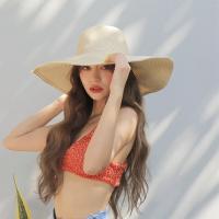 Gorro De Sol Para Mujer Con Gran Alas Plegable Verano Protección Solar Color Sólido Sombrero De Playa Casual Para Exteriores - details 16