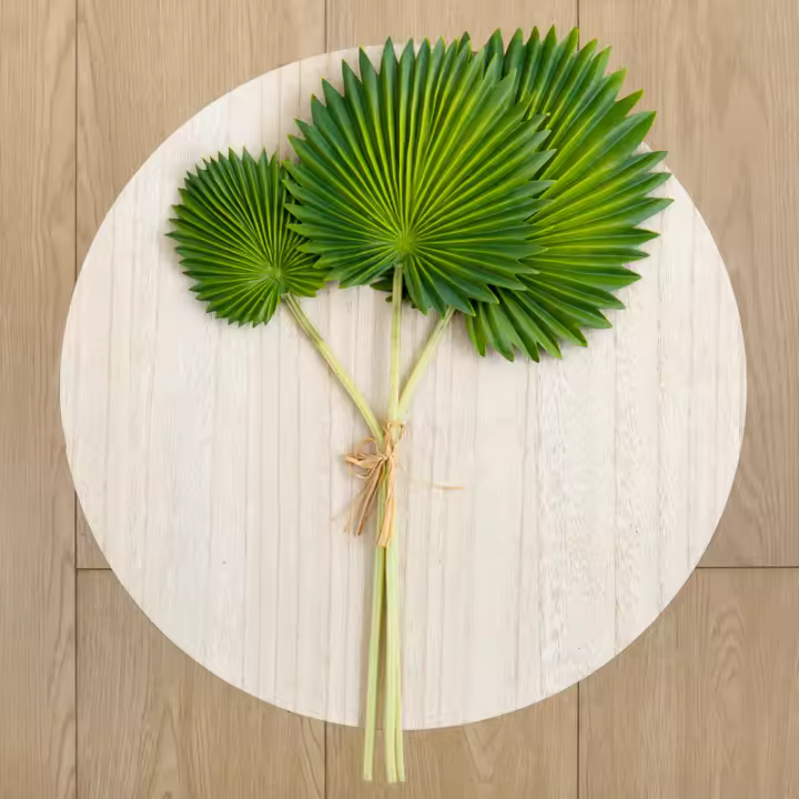 Abanico De Palma Grande Con Fibras De Lluvia De Tortuga Y Hojas Tropicales Artificiales Decoración Para Hogar Y Jardín Accesorios De Fiesta DIY Para Bodas Y Navidad - 1